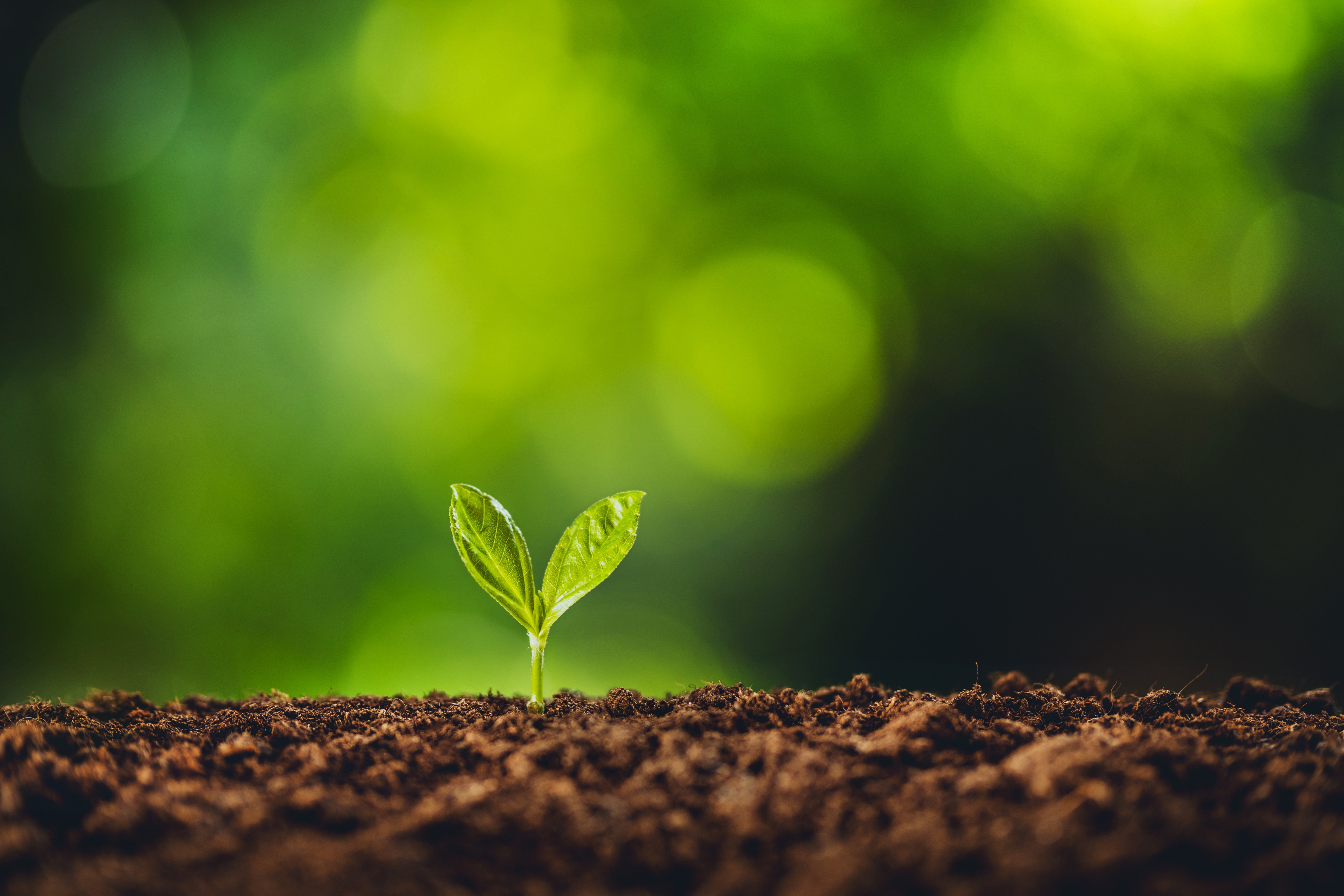 Rhetoric in Times of Change